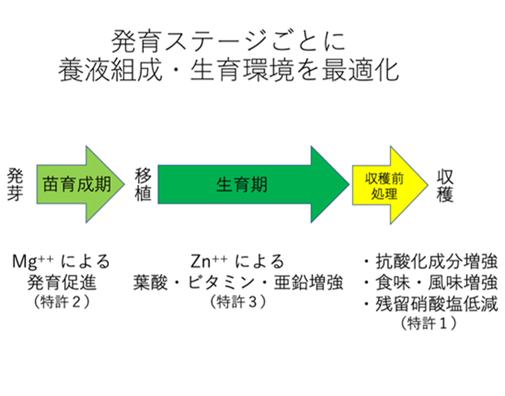 図1 特許1,2,3の適用時期とその効果