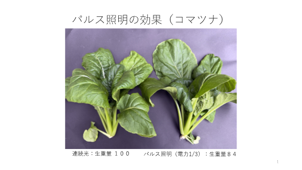 植物工場の電気代金を大幅に節約できるパルス照明法