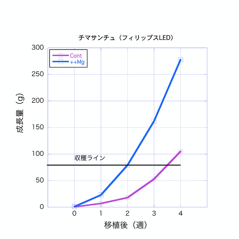 図1 Mg++ 濃度を高めると野菜種子の発育が非常に促進される